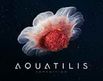 Жұмыс берушілер жарты миллион теңге төлеуге дайын: елімізде ең сұранысқа ие мамандықтар қандай?