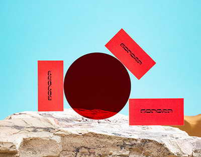 «Қалмақтан келген кірме би»: Белгілі биші «Қара жорға» биіне қатысты оғаштау мәлімдеме жасады